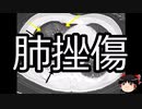 【ゆっくり朗読】ゆっくりさんと不思議な病気 その568