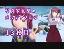 【ポケットモンスターバイオレット】写真家花梨のパルデアさんぽ13枚目【ボイロ×淫夢】