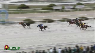 第55回菊水賞 ベラジオソノダラブ