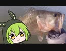 【ソフトウェアトークフィッシング】ずんだもんの釣り５
