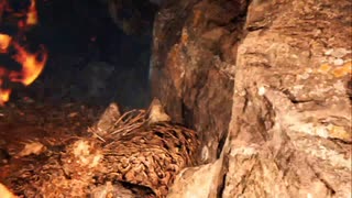 PS4配信｜Far Cry Primal｜孤岛惊魂：原始杀戮-简单-第一期 (35)