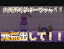 ちっちゃいばあちゃんとデッカイくまちゃん【ポケモンアルセウス実況part09】