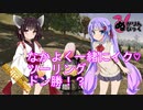 【PUBG】きりたんがバイクでロードキルしながら徘徊していたらいつの間にかドン勝【VOICEROID実況】