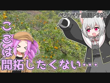 2023年4月6日　農作業日誌P561　雨が降ると思ったら降らなかったから、みかん畑の開拓状態　VOICEVOX