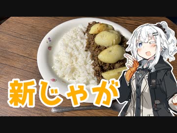 【新じゃがカレーを作ろう！】アカリとアオイの好き勝手クッキング！！