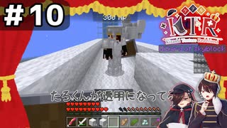 【KTR】#10 透明人間になれたなら【Minecraft：Wizard of skyblock】