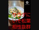 サラダにいそ松葉相性抜群おかわりおかわりおかわりミ(ニ）サラダ違った三皿だ