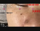 ニンポー（千代豊和） 寝る前の状況報告