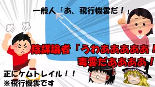 【ゆっくり解説】陰謀論者「飛行機雲から毒ガスがばら撒かれている！！」ケムトレイルとかいう陰謀について