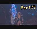 本当に帰ってきた！ちょっくら大冒険的なアレで『ゼルダの伝説ブレスオブザワイルド』実況プレイ Part37(一撃で死ぬのはきつい編)