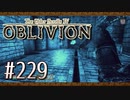 実況 ◇ The Elder Scrolls IV: オブリビオン ◇ 第229幕