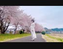 【春風に吹かれて】フルール 踊ってみた【さっち】