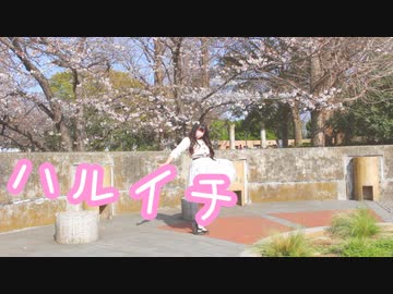 【ゆい】ハルイチ / 踊ってみた【桜と一緒】