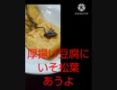 厚揚げ豆腐にいそ松葉あうよまだそこまで薄くない厚揚げ豆腐違った丸禿げ頭部