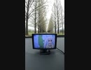 メタセコイア並木道