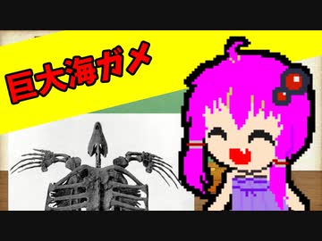 【VOICEROID解説】ゆかり先輩が語る古生物part9【アーケロン】