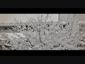 色彩 - 鏡音レン