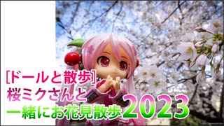 ［ドールと散歩］桜ミクさんと一緒にお花見散歩 2023