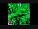 Feel Like GOAT (ft. 可不)