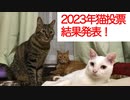 印象深い登場猫投票2023、結果発表！