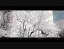 【オリジナル曲】灰色ツーショット (feat. IA，初音ミク) / chimachima - ちまちま