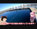 琴葉姉妹と行く釣行記録（釣り堀編part21）
