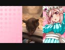 クリスのハムスターの日常。11