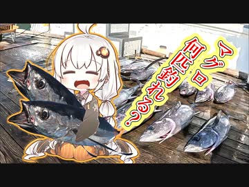 マグロが落ちてる！拾いに行こう!!　なんちゅ～か1番！＃45