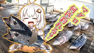 マグロが落ちてる！拾いに行こう!!　なんちゅ～か1番！＃45