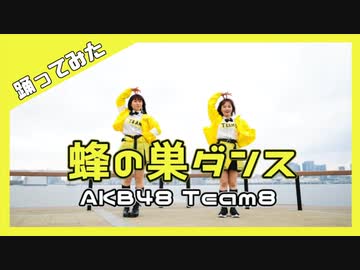 【AKB48 Team8】蜂の巣ダンス【踊ってみた】dancecover