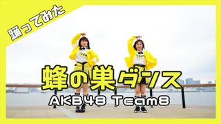 【AKB48 Team8】蜂の巣ダンス【踊ってみた】dancecover