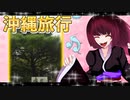 グロかわちゃんの沖縄旅行11