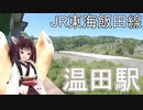 【JR東海飯田線】温田駅の前には天竜川を見下ろせる展望台があった