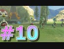 新作発売までに完走を目指すブレワイ実況！part10【ゼルダの伝説 BotW 実況】