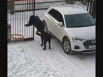 女VS自動で閉まる門