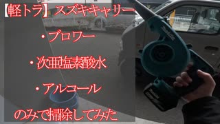 【軽トラ】スズキキャリーをオーガニックに清掃してみた【2001年式】