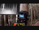 （今日は箱わな配備回）変態忍者の、有害鳥獣駆除従事活動記・その２３７
