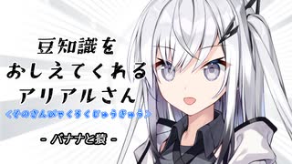 豆知識をおしえてくれるアリアルさん(369)【coefont解説】