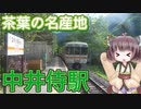 【JR東海飯田線】茶畑が広がる集落　ホームから天竜川が見える駅　中井侍駅を訪問【東北きりたん】