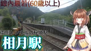 【JR東海飯田線】トンネルに挟まれた辺境の駅　観光トイレはあるが観光地は・・・　相月駅に行ってきた【東北きりたん】