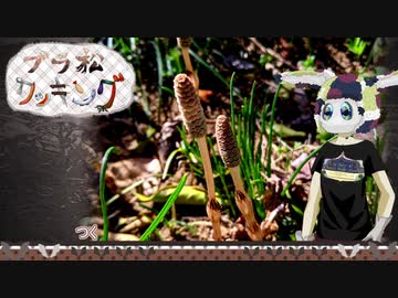 【ブラ松クッキング】つくし【30秒】