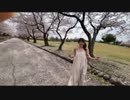 ヒビキノダンスvol.15シャララ