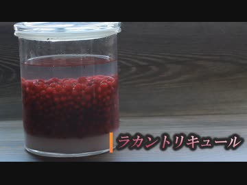 #111_ラカントリキュール