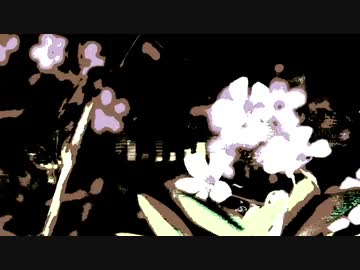 【初音ミク V4X】ハルハナサカエ / 雪男【pop rock】