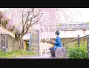 【u-to】春泥棒【踊ってみた】
