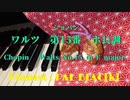 【クラシック】ショパンのワルツ第15番を弾いてみた【ピアノ】