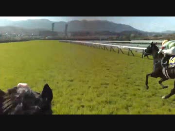 【2023年 桜花賞 ジョッキーカメラ】｜JRA公式