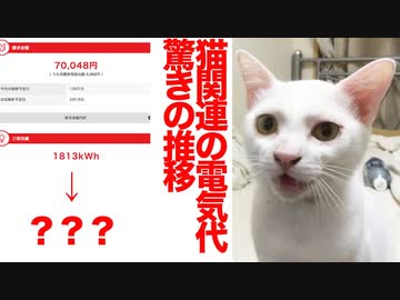 猫関連の電気代、えぐいことになる