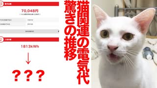 猫関連の電気代、えぐいことになる