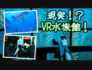 【一緒にVR世界を旅しませんか？】マンタ？ウミガメ？圧巻のVR水族館へ！ ４日目【VRChat】